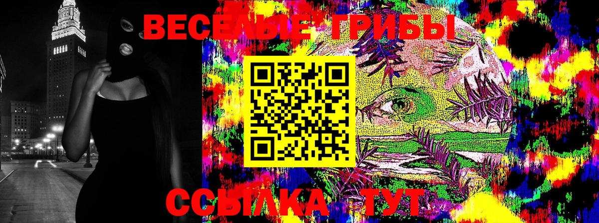Псилоцибиновые грибы GOLDEN TEACHER Десногорск
